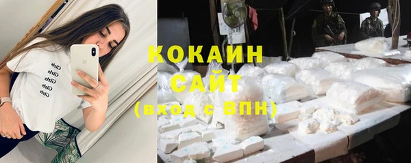 бошки Новозыбков