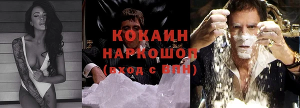 бошки Новозыбков