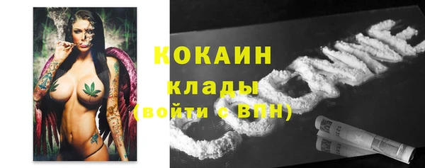 бошки Новозыбков