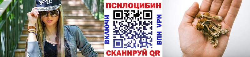 Псилоцибиновые грибы Cubensis  Кологрив 
